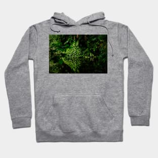 Jungle Hoodie